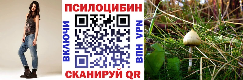 Купить где  Воскресенск  Галлюциногенные грибы Magic Shrooms 